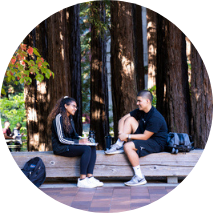 Students on a bench, redwood trees in background